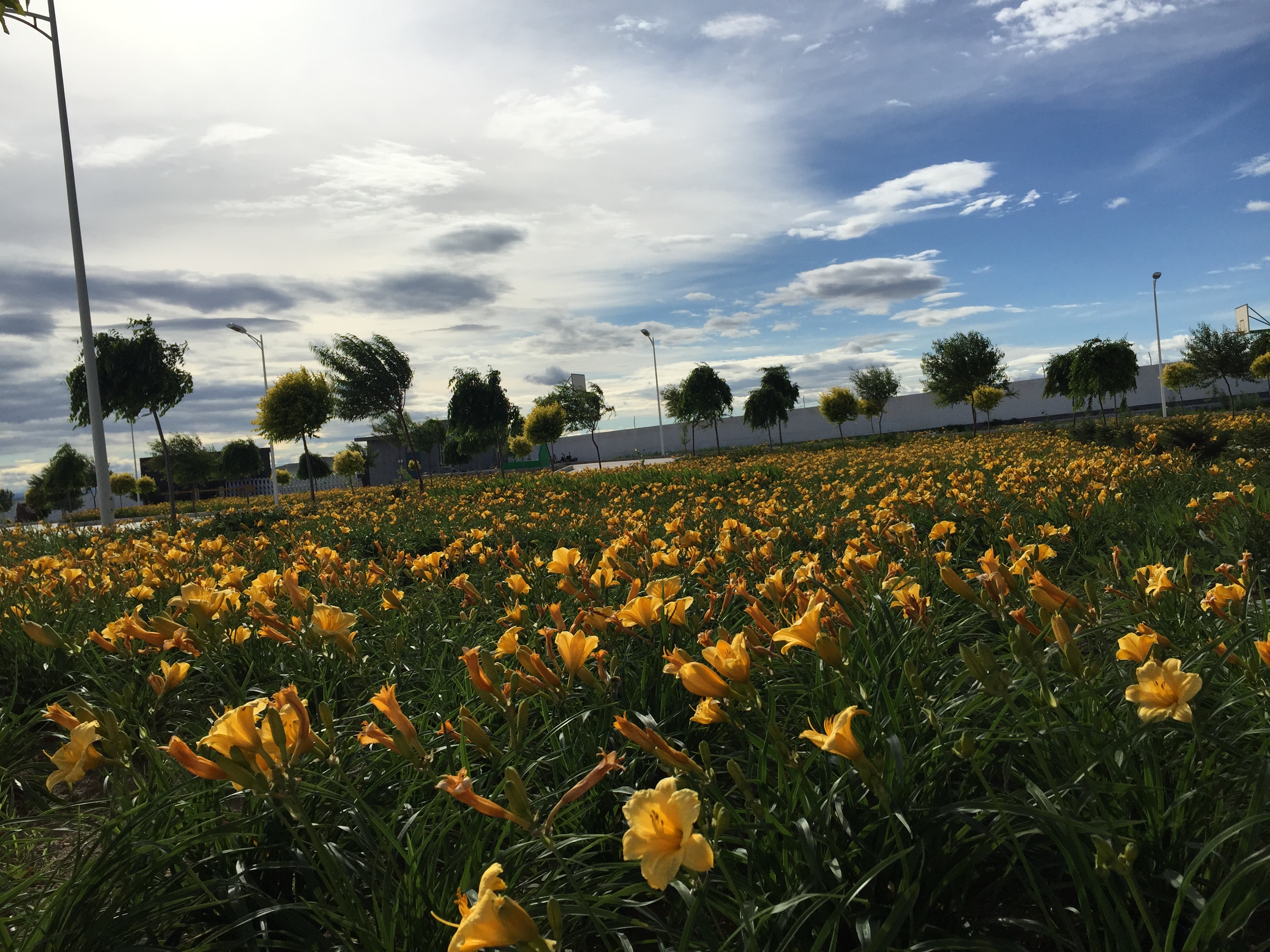 �ʼҹ��ʡ�(�й���)���޹�˾����